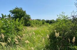 Teren Intravilan de vanzare, 1500 Mp, zona Rahova