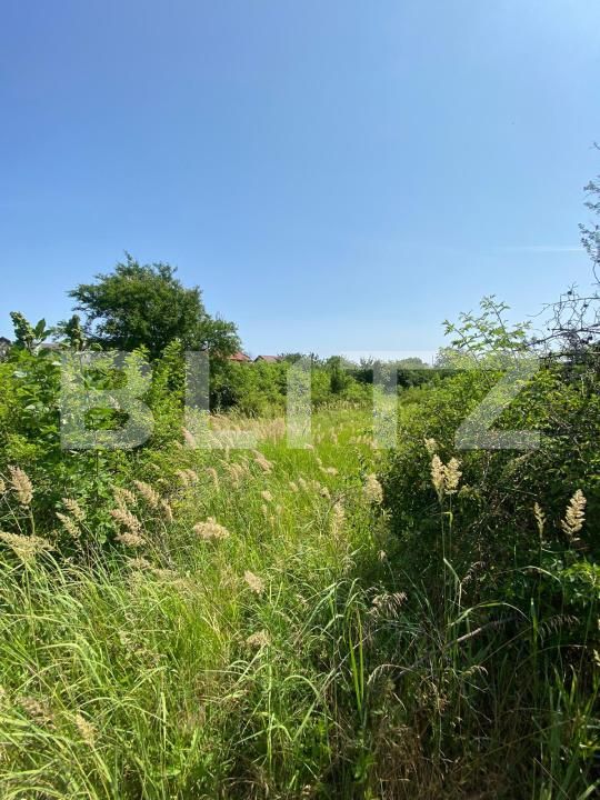 Teren de vânzare Rahova - 172614TV | BLITZ București | Poza1