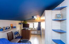 Duplex generos 288 mp, Metrou Apărătorii Patriei