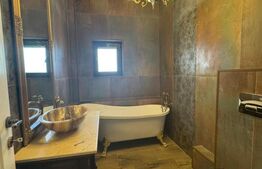 Penthouse de inchiriat, 140 mp, zona Dorobanti