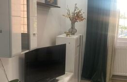 Garsoniera Lujerului, centrala termica, decomandatã