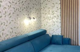 Garsoniera Lujerului, centrala termica, decomandatã