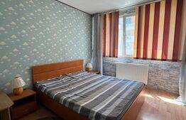 Apartament 2 Camere - Petre Ispirescu