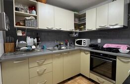 Casa de vanzare, cu 4 camere, zona Sector 5