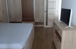 Apartament de lux cu terasă pe toată lungimea – Str. Osiei, mobilat complet