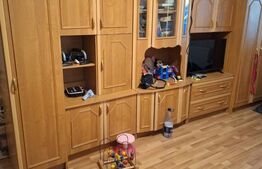 Apartament cu 2 camere, parter, bloc cu 4 etaje, Aleea Nehoiu, sector 4