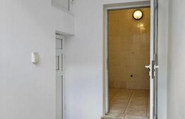 Casă de vânzare – o oază liniștită chiar lângă Parcul Tineretului