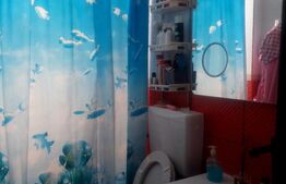 Apartament la curte, cu 2 camere, zona Unirii cartierul evreiesc