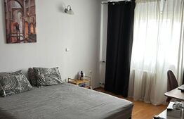 Garsoniera decomandata, 35 mp, etaj 9/10, mobilată și utilată, zona Lujerului