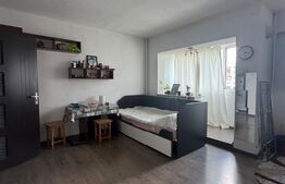 Garsoniera de vanzare, 28 mp, zona Petre Ispirescu - Barca