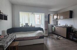Garsoniera de vanzare, 28 mp, zona Petre Ispirescu - Barca