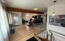 Vila deosebita cu 9 camere, 300 mp, zona Jolie Ville