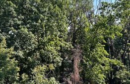 Garsoniera renovata, cartier Berceni proximitate de Metrou Aparatorii Patriei