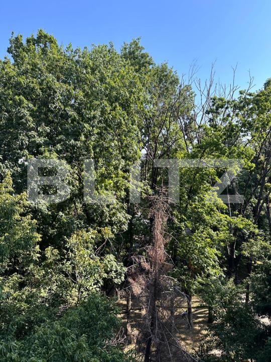 Garsonieră de vânzare Berceni - 175449AV | BLITZ București | Poza12