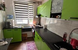 Apartament cu 3 camere, 63 mp utili, parter, zona Brâncoveanu