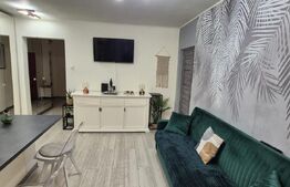 Apartament cu 3 camere, Valea Roșie – un loc cu rafinament și confort