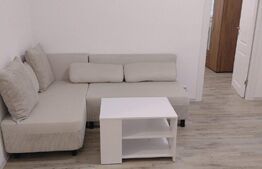 Apartament 2 camere, renovat integral , impecabil. Drumul Taberei