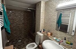 Casă spațioasă cu garaj, situată în Sector 1 – Băneasa