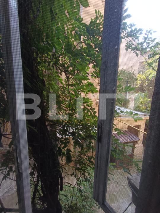 Apartament de vânzare 4 camere Mosilor - 176851AV | BLITZ București | Poza13