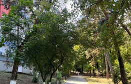 Oază de eleganță urbană în inima parcului Floreasca