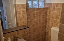 Casă D+P+E+M – 175 mp utili, curte 94 mp – Brâncoveanu/Tineretului