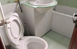 apartament 4 camere teiul doamnei