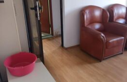 apartament 4 camere teiul doamnei