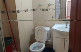 apartament 4 camere teiul doamnei