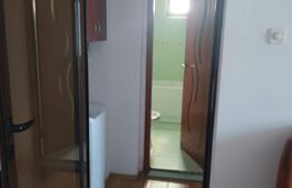 apartament 4 camere teiul doamnei