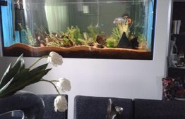 Penthouse, duplex de vanzare - Centrul Bucureștiului