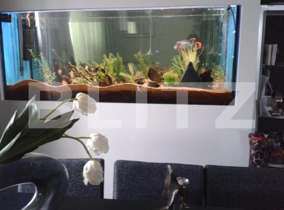 Apartament de vânzare 4+ camere Iancului - 177480AV | BLITZ București | Poza5