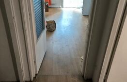 Garsonieră de vanzare, necesită renovare, 27,25 mp, zona Piața Progresul