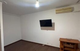 Garsoniera de vanzare, 24 mp, zona Teiul Doamnei