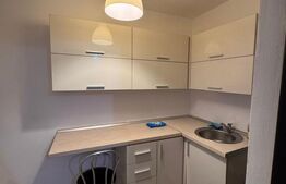 Garsoniera de vanzare, 24 mp, zona Teiul Doamnei