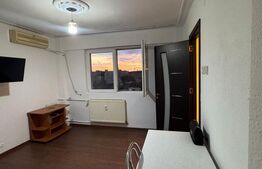 Garsoniera de vanzare, 24 mp, zona Teiul Doamnei