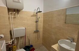 Garsoniera de vanzare, 24 mp, zona Teiul Doamnei