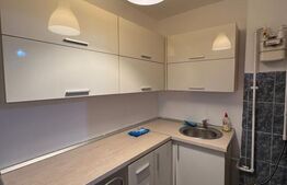 Garsoniera de vanzare, 24 mp, zona Teiul Doamnei