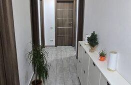 Apartament 2 camere, complet mobilat, zona Berceni, Drumul Binelui - negociabil