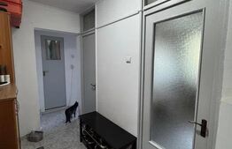 Apartament cu 2 camere, 50 mp – Str. Ion Iriceanu, Sector 4