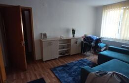 Apartament cu 2 camere, parter, zona Tei