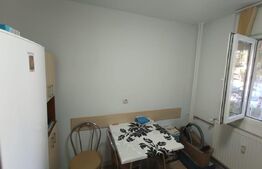 Apartament cu 2 camere, parter, zona Tei