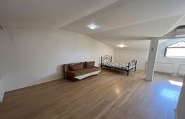 Vilă spațioasă cu mansardă, curte proprie și istoric cultural – Prelungirea Ghen