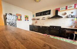 Vilă spațioasă cu mansardă, curte proprie și istoric cultural – Prelungirea Ghen