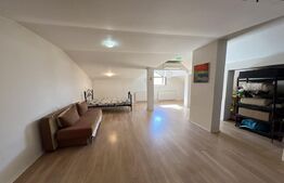 Vilă spațioasă cu mansardă, curte proprie și istoric cultural – Prelungirea Ghen