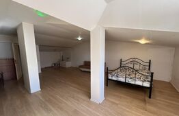 Vilă spațioasă cu mansardă, curte proprie și istoric cultural – Prelungirea Ghen