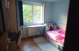 Apartament cu 4 camere, doamna Ghica