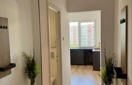 Apartament de 2 camere, 51 mp, zona Teiul Doamnei