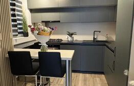 Apartament 2 camere, 50 mp, zona Bld. Ferdinand 