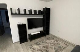 Apartament cu 2 camere, 43 mp, zona Viilor