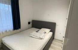 Apartament cu 2 camere, 43 mp, zona Viilor